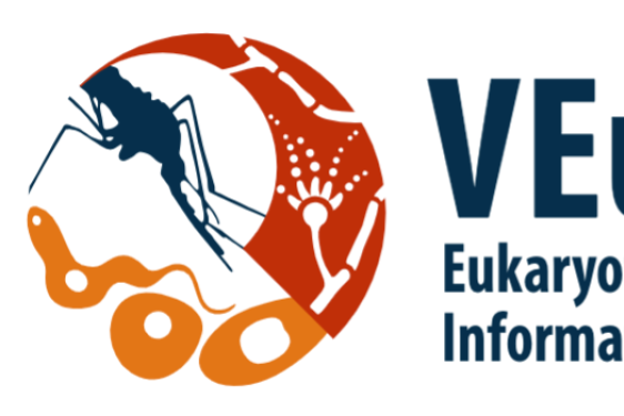graphic with blue letter son white background, bug and cell illustration